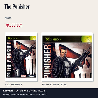 Representative pre-owned The Punisher (Xbox), full image and detail.