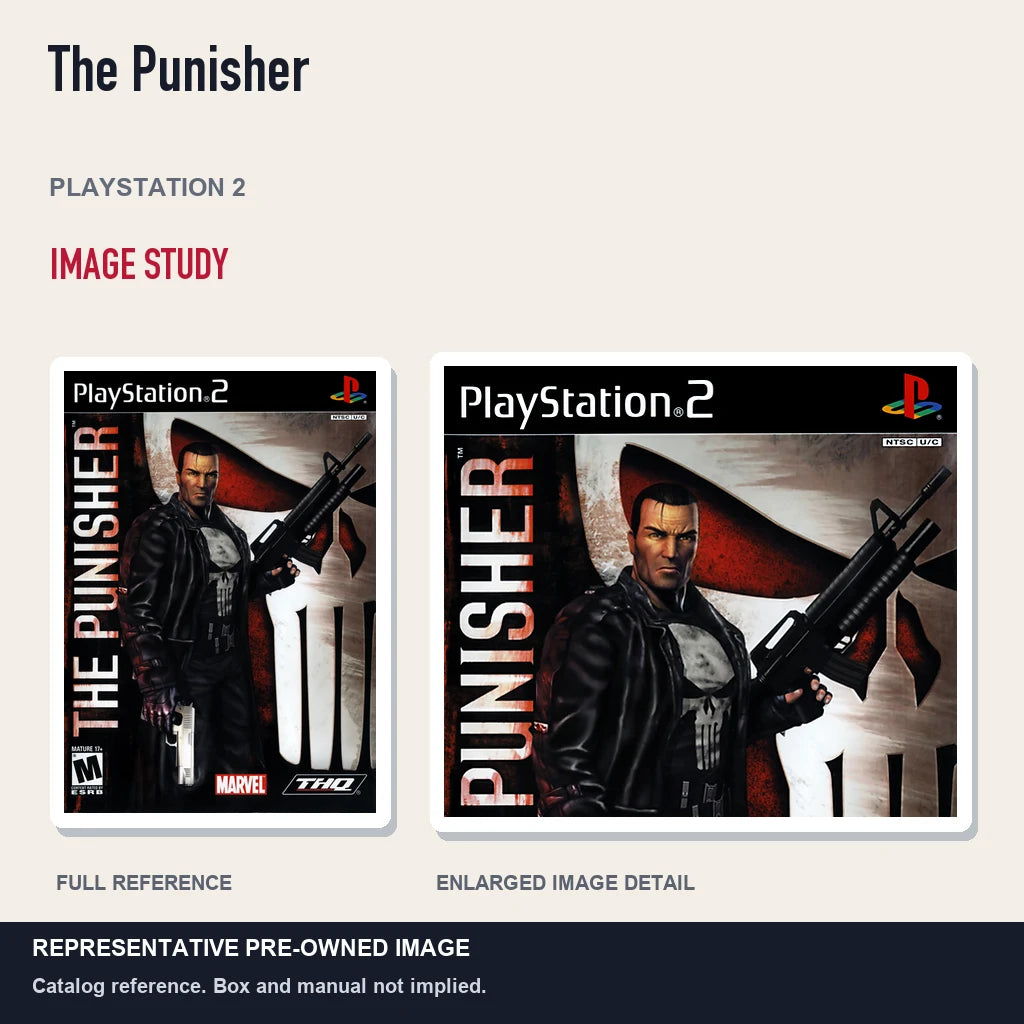 Representative pre-owned The Punisher (PlayStation 2), full image and detail.