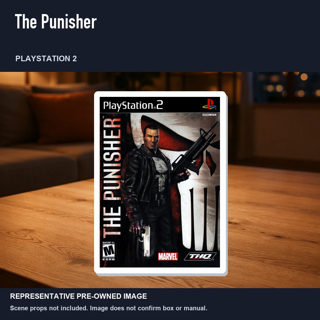 Representative pre-owned The Punisher (PlayStation 2), product image in a styled room scene.