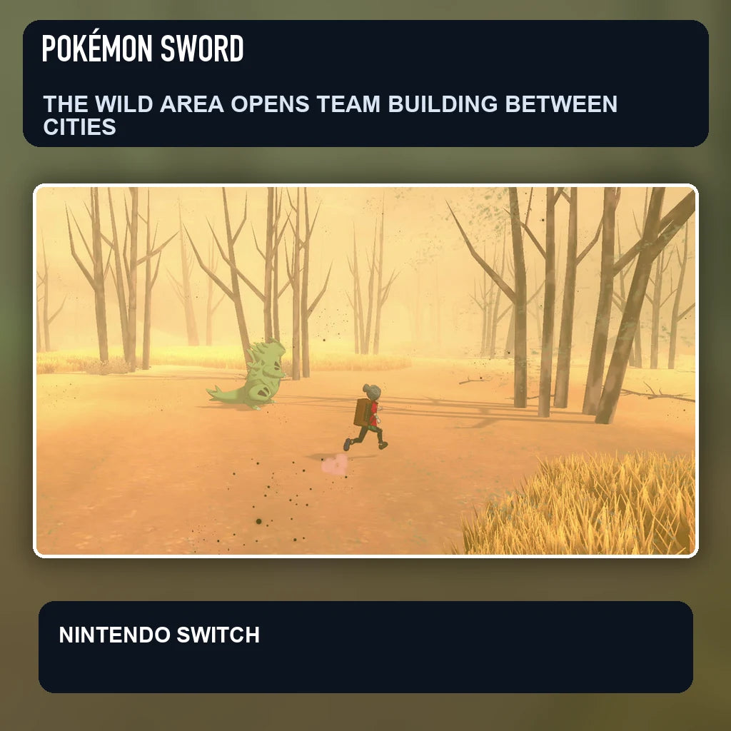 Pokémon Sword scene illustrating the wild area opens team building between cities