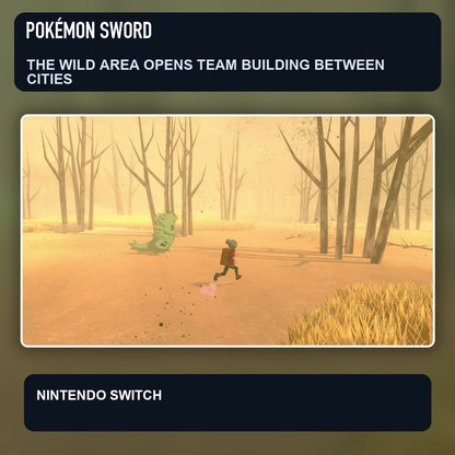 Pokémon Sword scene illustrating the wild area opens team building between cities