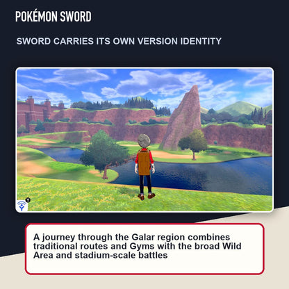Pokémon Sword scene highlighting sword carries its own version identity